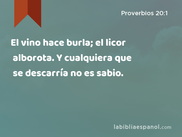 El vino hace burla; el licor alborota. Y cualquiera que se descarría no es sabio. - Proverbios 20:1