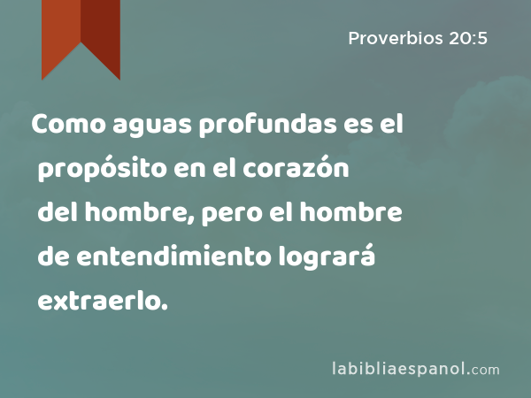 Como aguas profundas es el propósito en el corazón del hombre, pero el hombre de entendimiento logrará extraerlo. - Proverbios 20:5