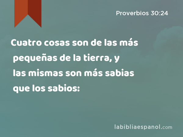 Cuatro cosas son de las más pequeñas de la tierra, y las mismas son más sabias que los sabios: - Proverbios 30:24