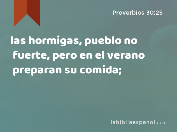 las hormigas, pueblo no fuerte, pero en el verano preparan su comida; - Proverbios 30:25