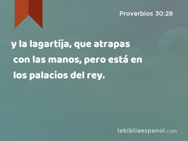 y la lagartija, que atrapas con las manos, pero está en los palacios del rey. - Proverbios 30:28