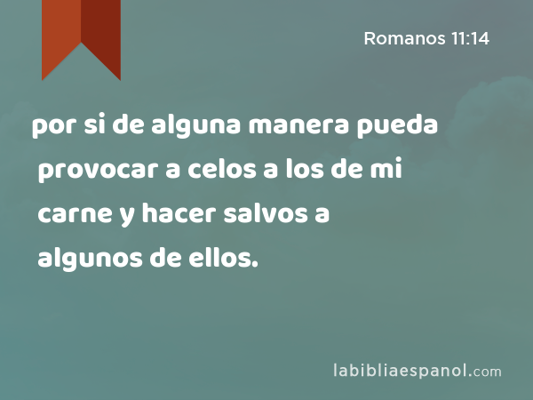 por si de alguna manera pueda provocar a celos a los de mi carne y hacer salvos a algunos de ellos. - Romanos 11:14