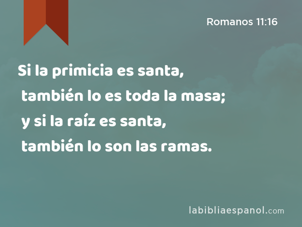 Si la primicia es santa, también lo es toda la masa; y si la raíz es santa, también lo son las ramas. - Romanos 11:16