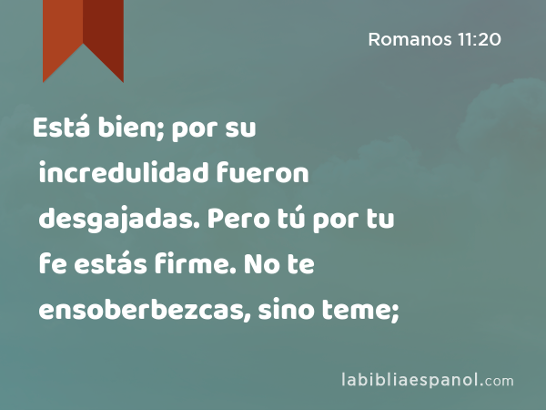 Está bien; por su incredulidad fueron desgajadas. Pero tú por tu fe estás firme. No te ensoberbezcas, sino teme; - Romanos 11:20