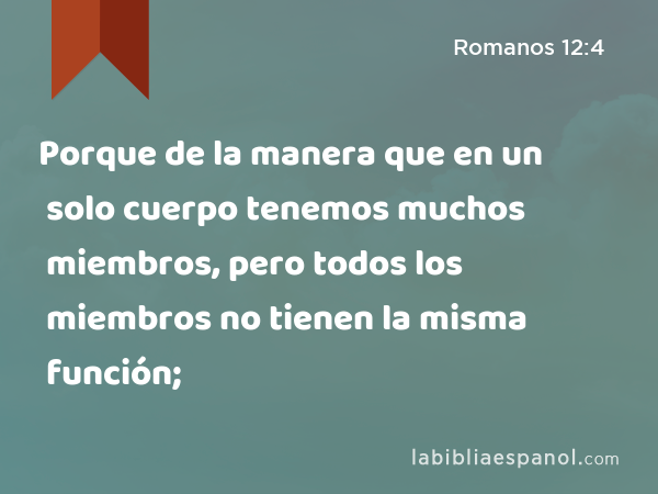 Porque de la manera que en un solo cuerpo tenemos muchos miembros, pero todos los miembros no tienen la misma función; - Romanos 12:4