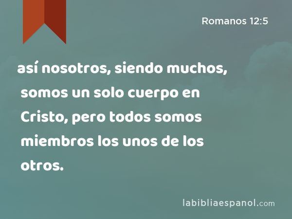 así nosotros, siendo muchos, somos un solo cuerpo en Cristo, pero todos somos miembros los unos de los otros. - Romanos 12:5