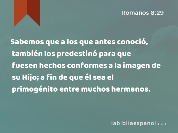 Sabemos que a los que antes conoció, también los predestinó para que fuesen hechos conformes a la imagen de su Hijo; a fin de que él sea el primogénito entre muchos hermanos. - Romanos 8:29