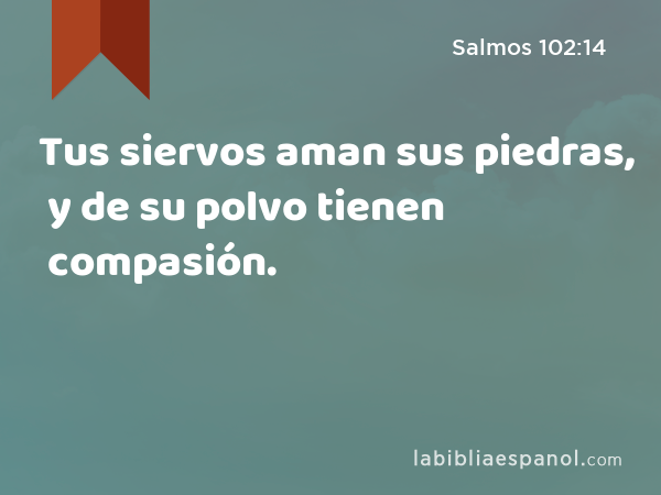 Tus siervos aman sus piedras, y de su polvo tienen compasión. - Salmos 102:14