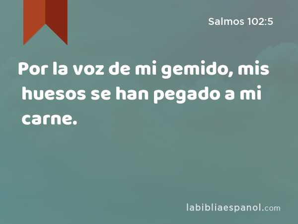 Por la voz de mi gemido, mis huesos se han pegado a mi carne. - Salmos 102:5