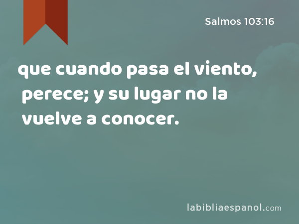 que cuando pasa el viento, perece; y su lugar no la vuelve a conocer. - Salmos 103:16