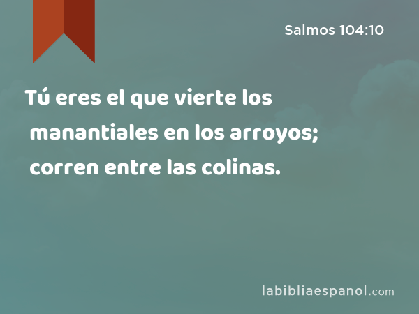 Tú eres el que vierte los manantiales en los arroyos; corren entre las colinas. - Salmos 104:10