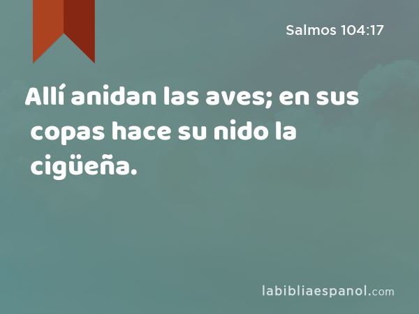 Allí anidan las aves; en sus copas hace su nido la cigüeña. - Salmos 104:17