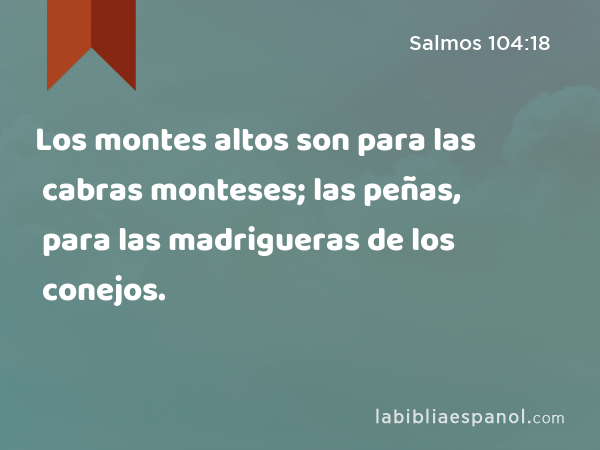 Los montes altos son para las cabras monteses; las peñas, para las madrigueras de los conejos. - Salmos 104:18