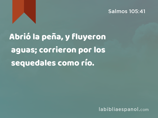 Abrió la peña, y fluyeron aguas; corrieron por los sequedales como río. - Salmos 105:41