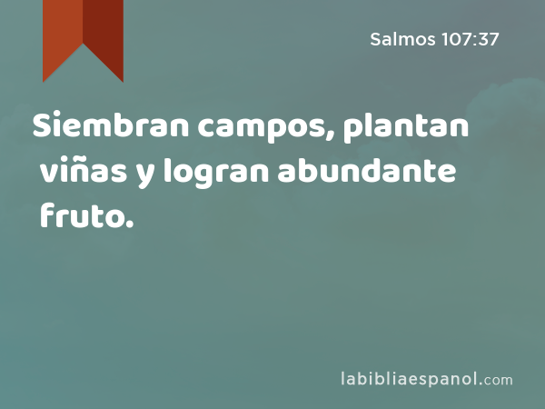 Siembran campos, plantan viñas y logran abundante fruto. - Salmos 107:37