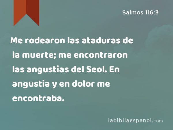 Me rodearon las ataduras de la muerte; me encontraron las angustias del Seol. En angustia y en dolor me encontraba. - Salmos 116:3