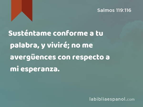 Susténtame conforme a tu palabra, y viviré; no me avergüences con respecto a mi esperanza. - Salmos 119:116