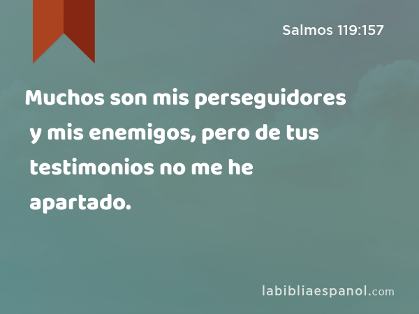 Muchos son mis perseguidores y mis enemigos, pero de tus testimonios no me he apartado. - Salmos 119:157