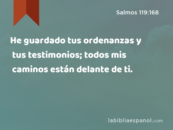 He guardado tus ordenanzas y tus testimonios; todos mis caminos están delante de ti. - Salmos 119:168