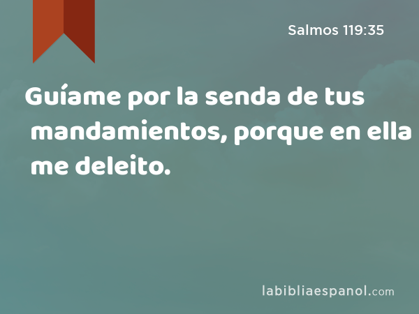 Guíame por la senda de tus mandamientos, porque en ella me deleito. - Salmos 119:35