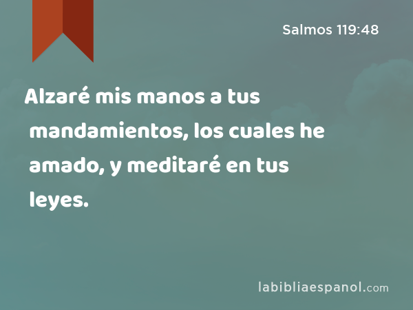 Alzaré mis manos a tus mandamientos, los cuales he amado, y meditaré en tus leyes. - Salmos 119:48