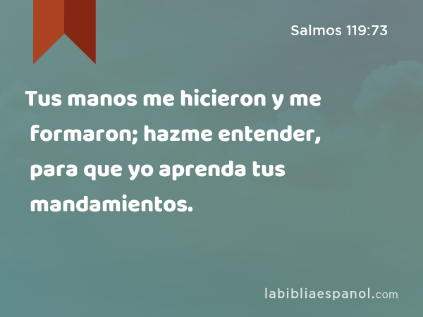 Tus manos me hicieron y me formaron; hazme entender, para que yo aprenda tus mandamientos. - Salmos 119:73