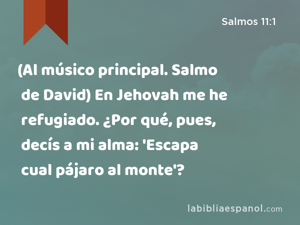 (Al músico principal. Salmo de David) En Jehovah me he refugiado. ¿Por qué, pues, decís a mi alma: 'Escapa cual pájaro al monte'? - Salmos 11:1