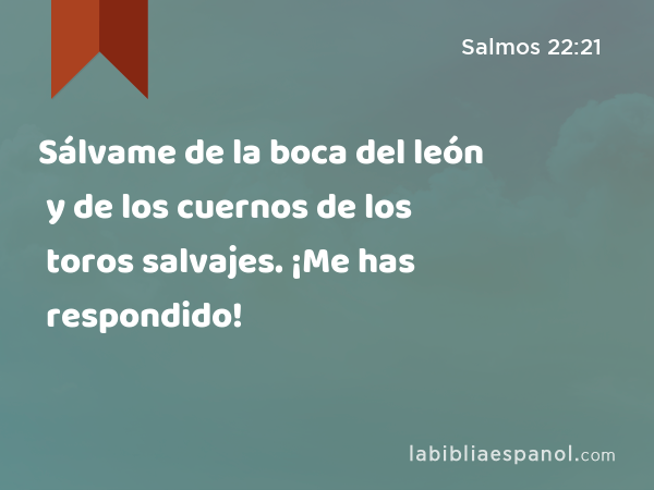 Sálvame de la boca del león y de los cuernos de los toros salvajes. ¡Me has respondido! - Salmos 22:21