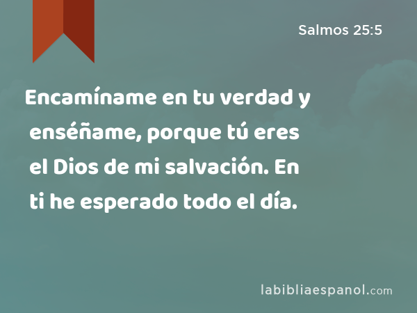 Encamíname en tu verdad y enséñame, porque tú eres el Dios de mi salvación. En ti he esperado todo el día. - Salmos 25:5