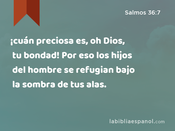 ¡cuán preciosa es, oh Dios, tu bondad! Por eso los hijos del hombre se refugian bajo la sombra de tus alas. - Salmos 36:7