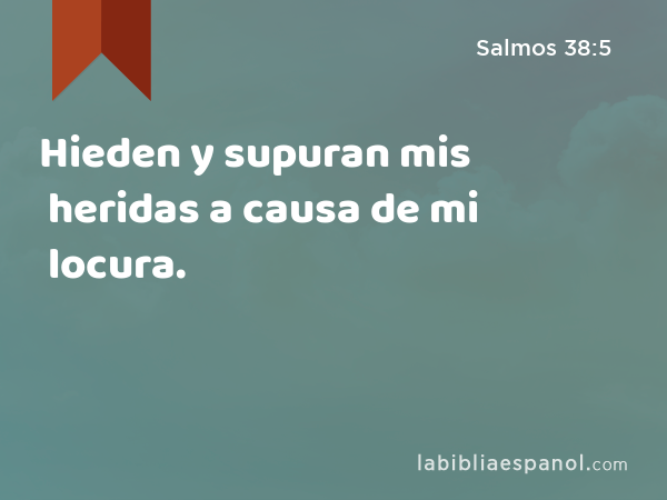 Hieden y supuran mis heridas a causa de mi locura. - Salmos 38:5