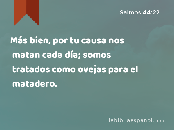 Más bien, por tu causa nos matan cada día; somos tratados como ovejas para el matadero. - Salmos 44:22