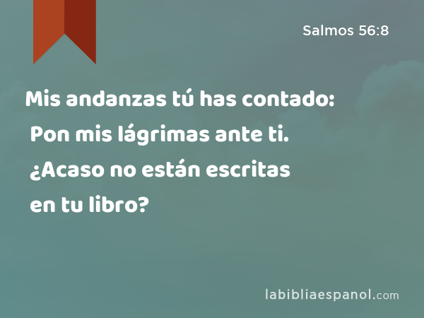 Mis andanzas tú has contado: Pon mis lágrimas ante ti. ¿Acaso no están escritas en tu libro? - Salmos 56:8