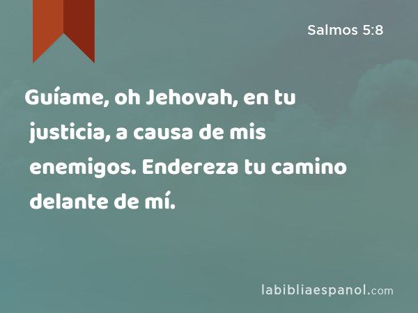 Guíame, oh Jehovah, en tu justicia, a causa de mis enemigos. Endereza tu camino delante de mí. - Salmos 5:8