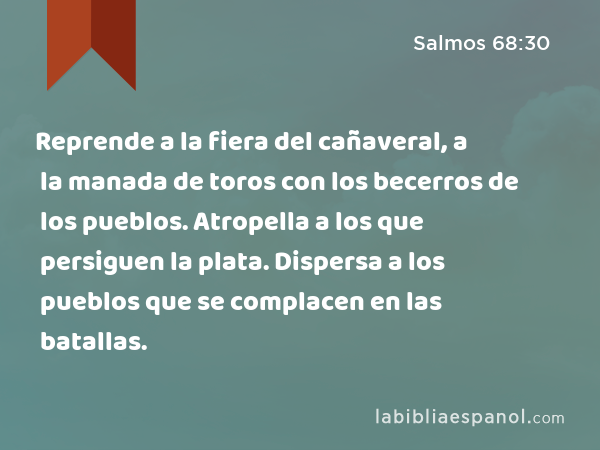 Reprende a la fiera del cañaveral, a la manada de toros con los becerros de los pueblos. Atropella a los que persiguen la plata. Dispersa a los pueblos que se complacen en las batallas. - Salmos 68:30