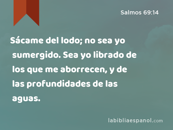 Sácame del lodo; no sea yo sumergido. Sea yo librado de los que me aborrecen, y de las profundidades de las aguas. - Salmos 69:14