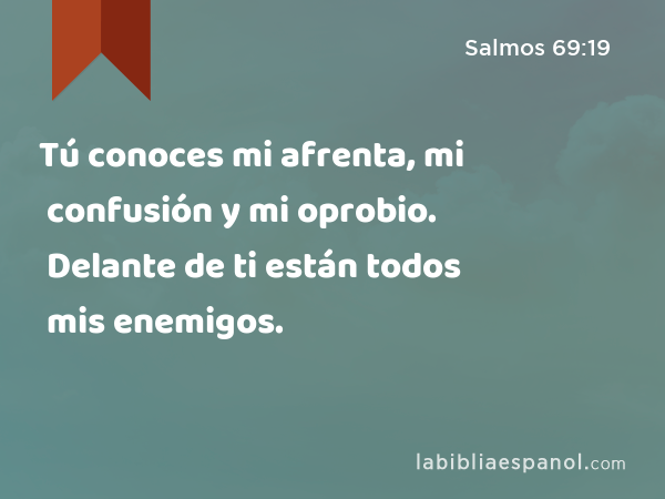 Tú conoces mi afrenta, mi confusión y mi oprobio. Delante de ti están todos mis enemigos. - Salmos 69:19