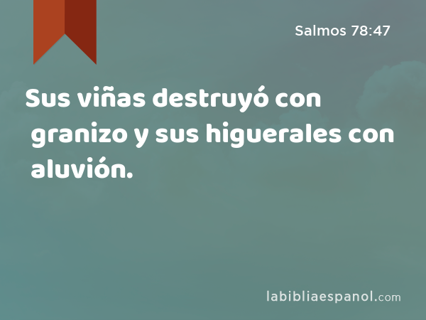 Sus viñas destruyó con granizo y sus higuerales con aluvión. - Salmos 78:47