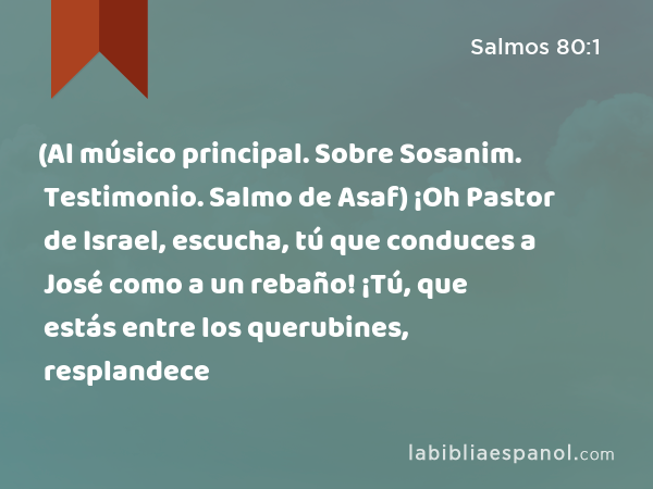 (Al músico principal. Sobre Sosanim. Testimonio. Salmo de Asaf) ¡Oh Pastor de Israel, escucha, tú que conduces a José como a un rebaño! ¡Tú, que estás entre los querubines, resplandece - Salmos 80:1