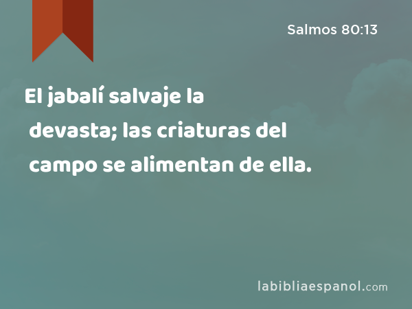 El jabalí salvaje la devasta; las criaturas del campo se alimentan de ella. - Salmos 80:13