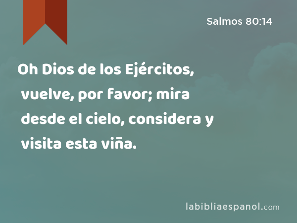 Oh Dios de los Ejércitos, vuelve, por favor; mira desde el cielo, considera y visita esta viña. - Salmos 80:14