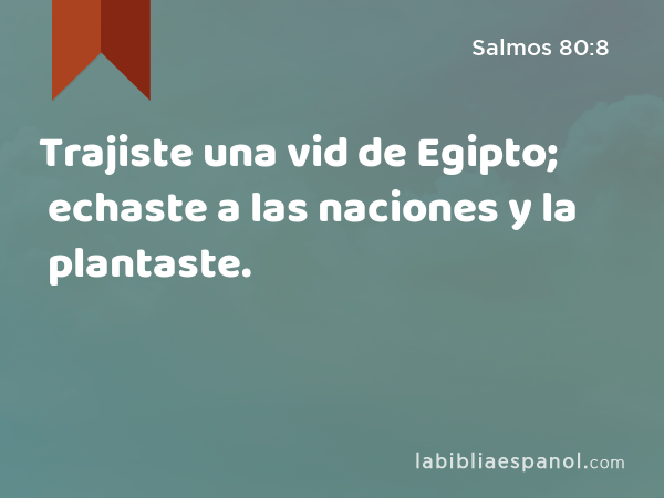 Trajiste una vid de Egipto; echaste a las naciones y la plantaste. - Salmos 80:8