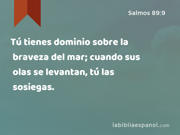 Tú tienes dominio sobre la braveza del mar; cuando sus olas se levantan, tú las sosiegas. - Salmos 89:9