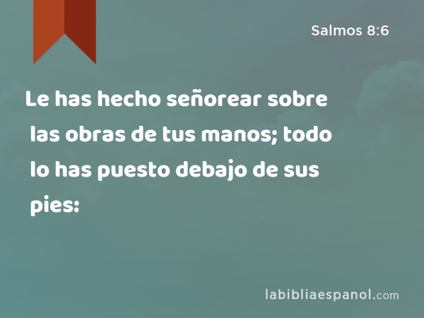 Le has hecho señorear sobre las obras de tus manos; todo lo has puesto debajo de sus pies: - Salmos 8:6