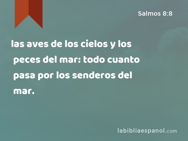 las aves de los cielos y los peces del mar: todo cuanto pasa por los senderos del mar. - Salmos 8:8