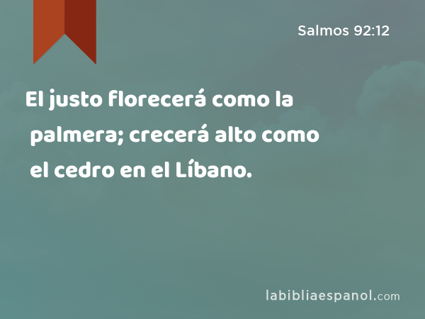 El justo florecerá como la palmera; crecerá alto como el cedro en el Líbano. - Salmos 92:12