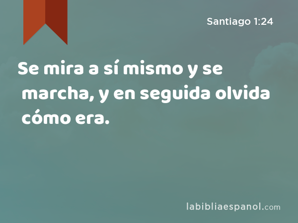 Se mira a sí mismo y se marcha, y en seguida olvida cómo era. - Santiago 1:24