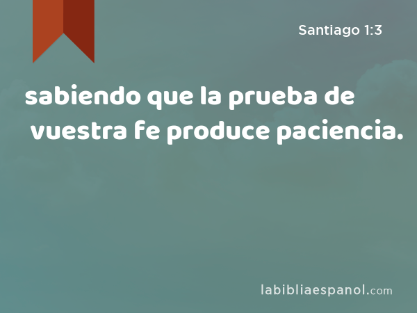 sabiendo que la prueba de vuestra fe produce paciencia. - Santiago 1:3