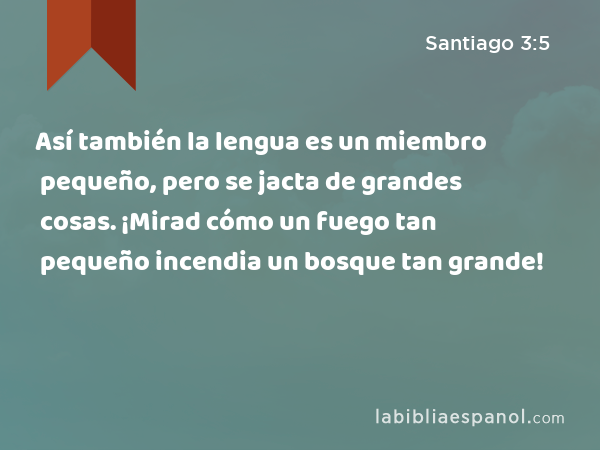 Así también la lengua es un miembro pequeño, pero se jacta de grandes cosas. ¡Mirad cómo un fuego tan pequeño incendia un bosque tan grande! - Santiago 3:5