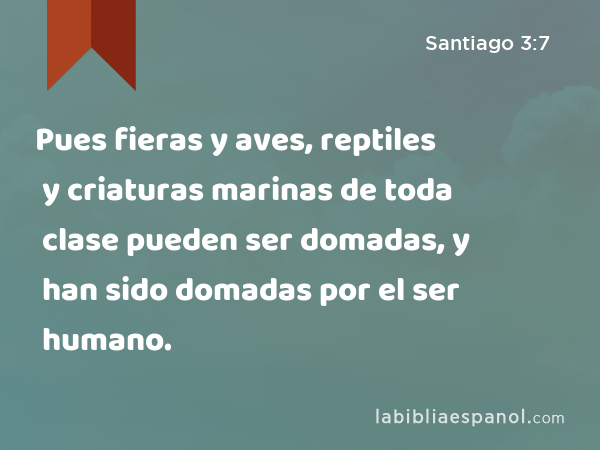 Pues fieras y aves, reptiles y criaturas marinas de toda clase pueden ser domadas, y han sido domadas por el ser humano. - Santiago 3:7